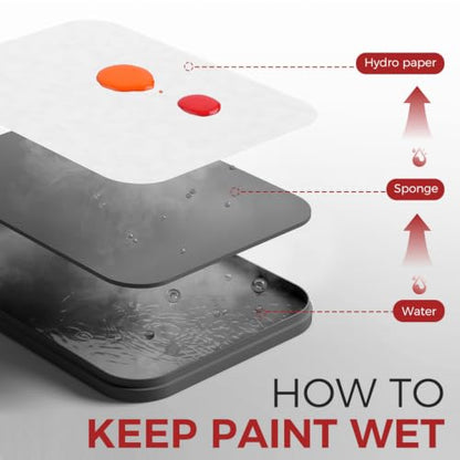 Wet Pallet for Painting Miniatures - Golden Maple 2 in 1 Dry and Wet Palette with Lid, Including 11 Miniature Paint Brushes,100PCS Palette Paper, 4PCS Sponges, Paint Brushes Holders - color: Red+black