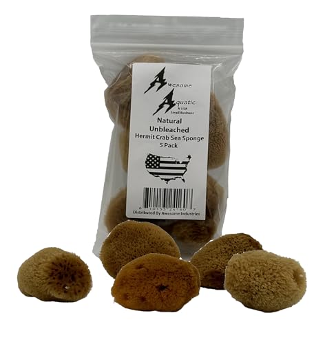 5 Unbleached Natural Hermit Crab Sea Sponges Water Dish Humidity Habitat | Natural hydration Reusable Climbing surface Shelter Enrichment Highly absorbent Long lasting Chemical free Water Safety - size: UnBleached 5 Pk