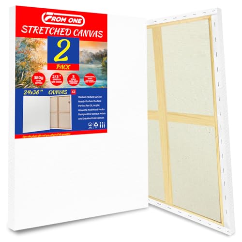 2-Pack 24x36 Stretched Canvas 13.4oz Warp-Resistant for Oil & Acrylic | (380gsm) triple gesso primed, warp-resistant, large pre-stretched canvas for gallery-quality art - size: 2pk - 24"x 36"