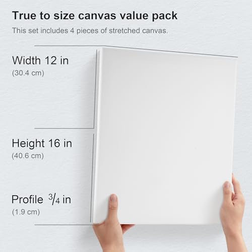 PHOENIX Professional Stretched Watercolor Canvas - 12x16 Inch/4 Pack, 100% Cotton Water Color Canvases for Painting, 8 Oz. / 260g White Blank Medium Texture Canvas for Water Based Paints - size: 12"x16", style: Framed Canvas