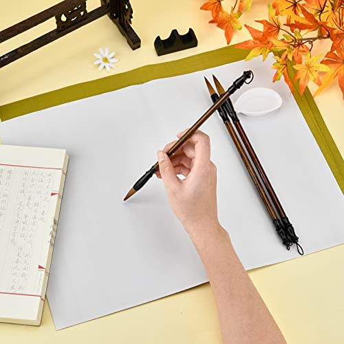 PH PandaHall 14pcs No Ink Chinese Calligraphy Set, Reusable Water Writing Cloth Paper, Chinese Traditional Calligraphy Brushes and Water Dish for Beginners Practice Chinese New Year, 17x13 Inch - color: White