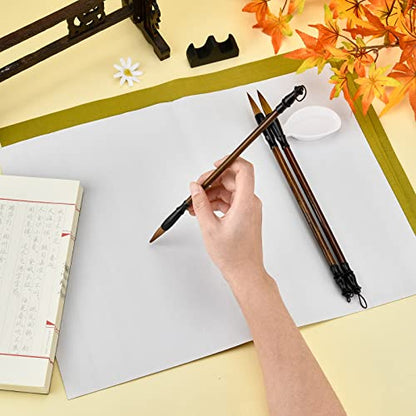 PH PandaHall 14pcs No Ink Chinese Calligraphy Set, Reusable Water Writing Cloth Paper, Chinese Traditional Calligraphy Brushes and Water Dish for Beginners Practice Chinese New Year, 17x13 Inch - color: White