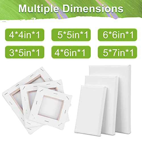 6Packs Mini Stretched Canvases for Painting with 3x5”, 4x4”, 4x6”, 5x5”, 5x7”, 6x6”, Painting Canvas for Oil & Acrylic Paint. - size: 6 Packs - 6 Sizes (1 of Each)