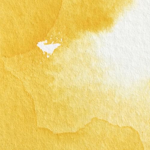 Winsor & Newton Professional Watercolor, 5ml Tube, Cadmium Yellow | Unrivalled Transparency, Single Pigment Vibrant Colors, Archival Permanence, Heritage Watercolors, Finest Pigments - color: Cadmium Yellow, style: 0.17-oz Tube