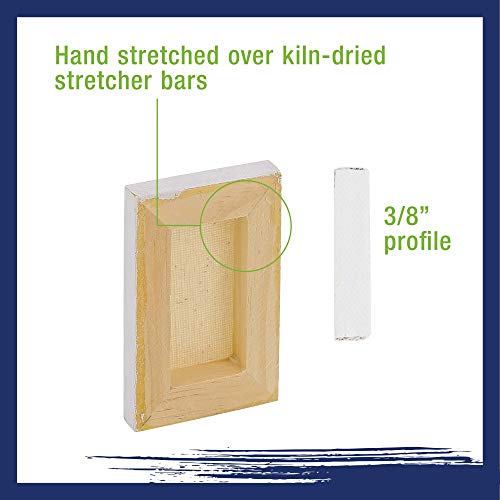 U.S. Art Supply 3x4 Mini Canvases for Painting, 12 Pack Bulk | Small Stretched Artist Canvas Professional Primed - Ideal for Arts & Crafts - size: 3" x 4" - Pack of 12