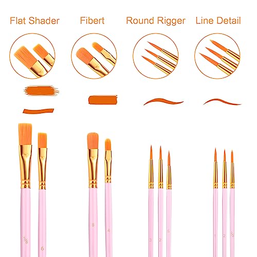 AROIC Acrylic Paint Brushes, 6 Packs/60 pcs Nylon Hair Paint Brush Set | All Purpose Oil Watercolor Painting Artist Professional Kits (Pink) - size: 60pcs-pink