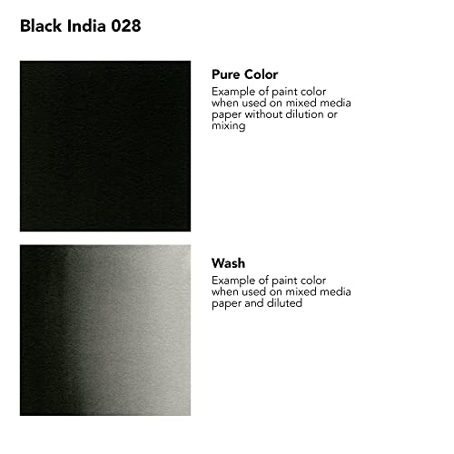 Daler-Rowney FW Acrylic Ink Bottle Black - Versatile Acrylic Drawing Ink for Artists and Students - Permanent Calligraphy Ink - Archival Ink for Illustrating and More (Pack of 2) - size: 6.1 fl oz (Pack of 2)