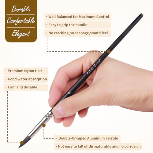 Watercolor Paint Brush Set,12Pcs Professional Paint Brushes for Acrylic Painting,Soft Synthetic Fine Hair Oil Paint Brushes,Flat,Round, Cat's Tongue,Liner for Detail Painting and Art Painting