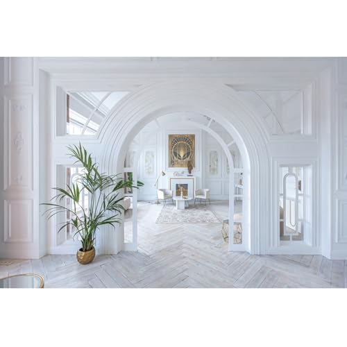 Room Interior Backdrop 6x4ft Boho Nordic Home Photography Background | Modern Home Scene Setter,Wedding Party Banner,Arched Door Room Decor Photocall,Portraits Photoshoot Wallpaper Photo Booth - color: Style 2, size: 6ftx4ft