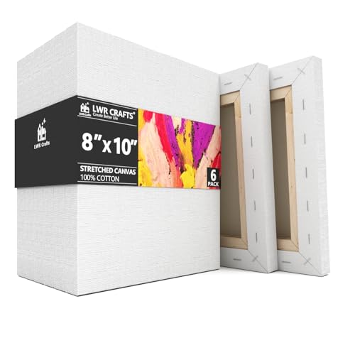 Stretched Canvas 8" X 10" Pack of 6 - size: 8"x10"x6 (standard)