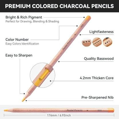 Artist Soft Pastel Chalk Pencils - 24 Color Set for Portrait & Figure Drawing Premium Blendable Pastels for Mixed Media Art,Layering Techniques & Traditional,Pastel Painting,Lightfast Pigments