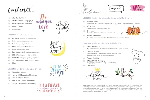 A Beginner's Guide to Modern Calligraphy & Brush Pen Lettering: Learn to Create Beautiful Hand Lettering for Invitations, Cards, Journals and More! (400 Step-by-Step Examples)