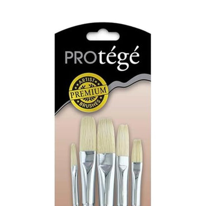 Protege Brush Set Hog Bristle Long Handle 5pc