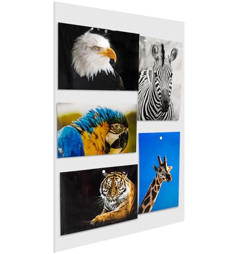 Foam Board 20 x 30 x 3/16"(5mm), Foam Core Board Sheets, White Poster Board | 12 Pack, Acid Free Foamboard, Rigid Sign Board for Mounting, Framing, Backing, Display, Presentation, Prints, Crafts & Art - size: 20x30 in 12 Pack