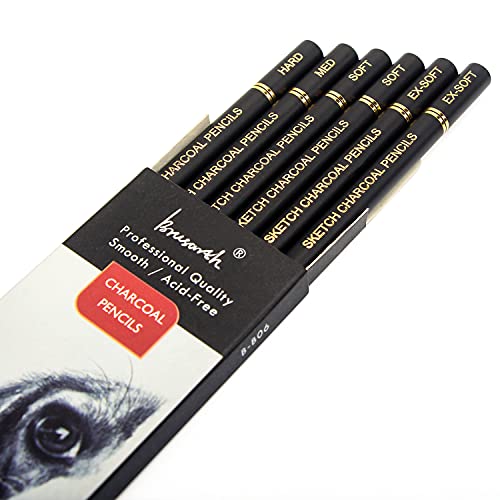 Brusarth Professional Charcoal Pencils Drawing Set - 6 Pieces Soft Medium and Hard Charcoal Pencils for Drawing, Sketching, Shading | Soft Medium and Hard Charcoal Pencils for Drawing, Sketching, Shading, Charcoal Pencils for Beginners & Artists - color: