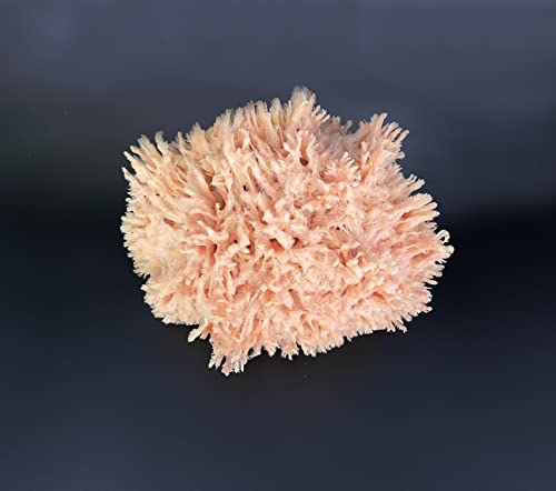 Sea Wool Art Sponge, Professional 5"-6" Unbleached, Faux Finish & Limestone | Premium grade sea wool, 5"-6". Varied pores for natural texturing. Limestone, Venetian plaster, marbling & faux finishes.