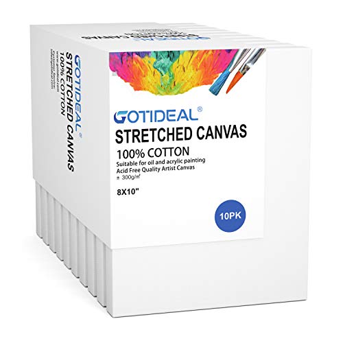 GOTIDEAL Stretched Canvas, 8x10 Inch Set of 10, Primed White - color: White, size: 8"x10"