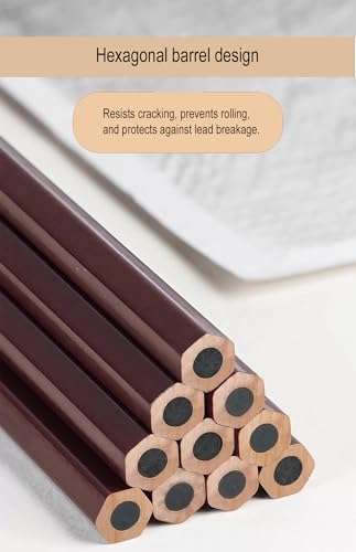 Professional Drawing Charcoal Pencils Set, 10 Piece Art Supplies with Soft Medium Hard for Sketching,Charcoal Art,Drawing Charcoal Pencils for Sketching,Art Supplies(soft 10 Piece)