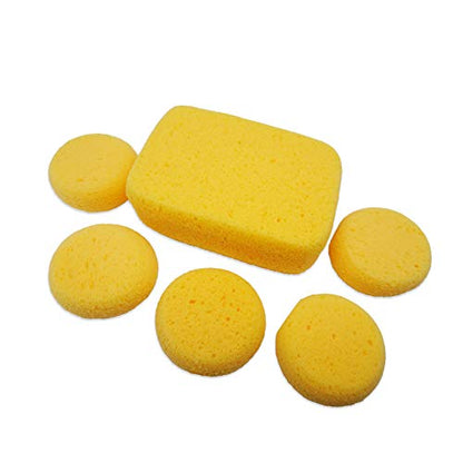 Hydrophilated Synthetic Sponges 6pc, Superior Absorbency, Painting & Crafts