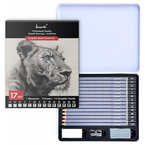 Brusarth Professional Sketch Graphite Pencils for Drawing Set,17 Pcs