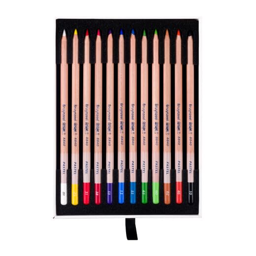 ターレンスジャパン(Talens Japan) Bruynzeel 12 Colors Set of 12 Pastel Pencils