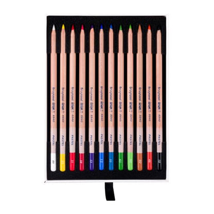 ターレンスジャパン(Talens Japan) Bruynzeel 12 Colors Set of 12 Pastel Pencils