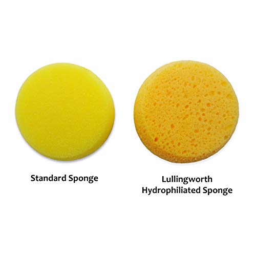 Hydrophilated Synthetic Sponges 6pc, Superior Absorbency, Painting & Crafts