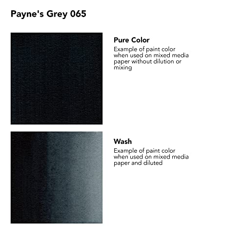 Daler-Rowney FW Acrylic Artists Ink, 1 oz, Paynes Gray (160029065) - color: Payne's Grey