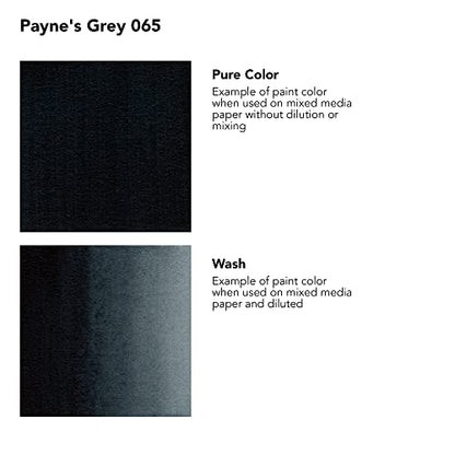 Daler-Rowney FW Acrylic Artists Ink, 1 oz, Paynes Gray (160029065) - color: Payne's Grey