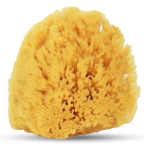 HartFelt Gentle Exfoliation Yellow Sea Sponge 4in | Natural Shower Sponges for Bathing for Men and Women | Rich Lather - size: 1 Count (Pack of 1), style: Yellow Sea Sponge