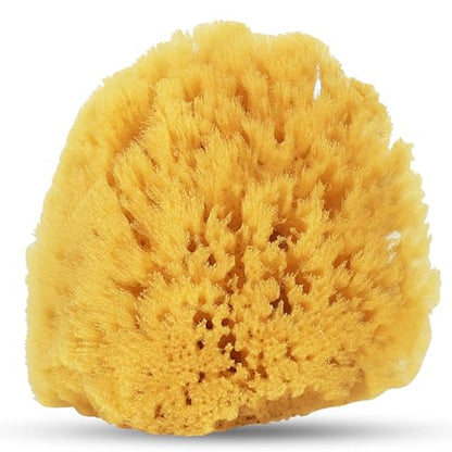 HartFelt Gentle Exfoliation Yellow Sea Sponge 4in | Natural Shower Sponges for Bathing for Men and Women | Rich Lather - size: 1 Count (Pack of 1), style: Yellow Sea Sponge