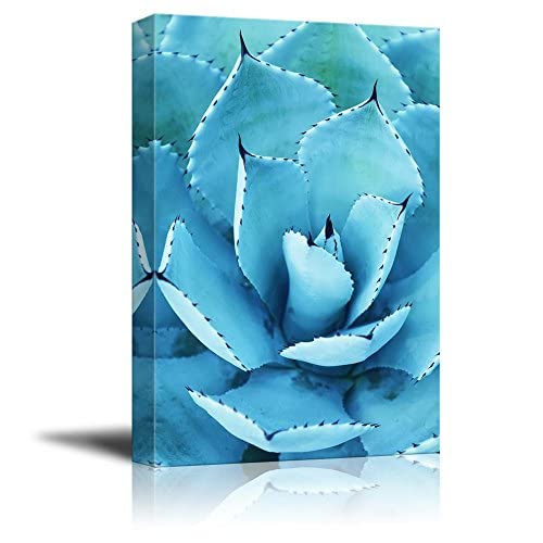 wall26 Canvas Wall Art - Closeup of a Blue Succulent Plant with Spikes - Giclee Print Gallery Wrap Modern Home Art Ready to Hang - 12x18 inches - color: Artwork - 04, size: 18"L x 12"W