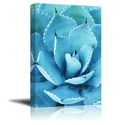 wall26 Canvas Wall Art - Closeup of a Blue Succulent Plant with Spikes - Giclee Print Gallery Wrap Modern Home Art Ready to Hang - 12x18 inches - color: Artwork - 04, size: 18"L x 12"W