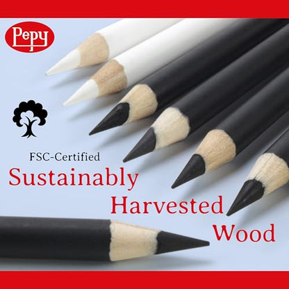 Pepy Professional Hard Charcoal Pencil Set – Set of 6 Pre-Sharpened Black Charcoal Pencils; Perfect for Drawing, Sketching, Blending and Shading
