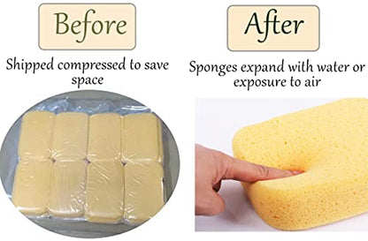 Yesland 10 Pcs Sponges, Perfect Synthetic Sponges for Painting, Crafts, Grout, Cleaning, Pottery, Clay - 7.5 x 5.5 x 2 Inches (Pack of 2) - size: 7.5 x 5.5 x 2 inches (Pack of 2)