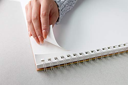 Strathmore (657-68) Vision Sketch Pad, 18" x 24", White, 55 Sheets - size: 18x24, style: Sketch