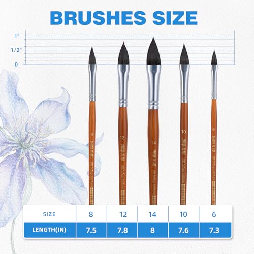 5 Pcs Cats Tongue Watercolor Paint Brushes | Cat Tongue Paint Brush for Petals, Leaves, Watercolor and Acrylic Painting - style: Cats Tongue