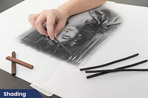 Pacific Arc Artist Vine Charcoal, Medium, Black 4 Charcoal Sticks for Drawing, Sketching, and Fine Art - style: Medium | 4 Sticks