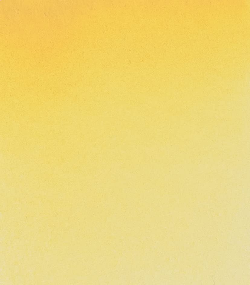 Schmincke - HORADAM® AQUARELL - finest artists' watercolours, Jaune brillant deep - 5 ml - color: 221 jaune brilliant dark, size: 0.17 Fl Oz (Pack of 1)