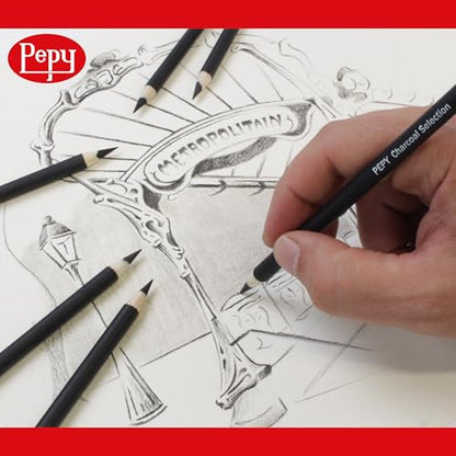 Pepy Professional Hard Charcoal Pencil Set – Set of 6 Pre-Sharpened Black Charcoal Pencils; Perfect for Drawing, Sketching, Blending and Shading