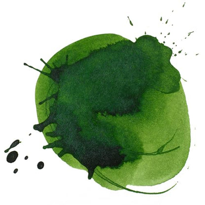 Liquitex Professional Acrylic Ink, 1-oz Jar, Hooker's Green Hue Permanent - color: Hooker's Green Hue Permanent, style: 1-oz Jar