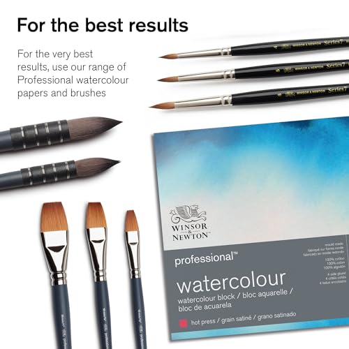 Winsor & Newton Professional Watercolor Paint Set, Customisable Travel Tin - style: Black Box 12 Half Pan