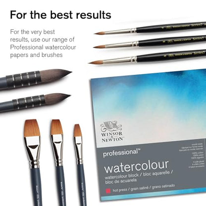 Winsor & Newton Professional Watercolor Paint Set, Customisable Travel Tin - style: Black Box 12 Half Pan