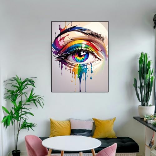 ldazao Colorful Eye Paint By Numbers Kit for Adults DIY Color Adult Paint By Number Kits Acrylic Canvas Painting Kit for Beginner Oil Painting Kits for Gift Home Wall Decor 16x20 Inch - color: SZ011