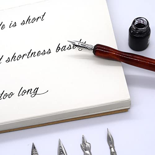 Pssopp 10PCS Calligraphy Pen Nib, Oblique Calligraphy Dip Pen Set Comic Pen Nib Replacement Nibs for Writing Painting Signing Pens[B10*10] - color: B10*10