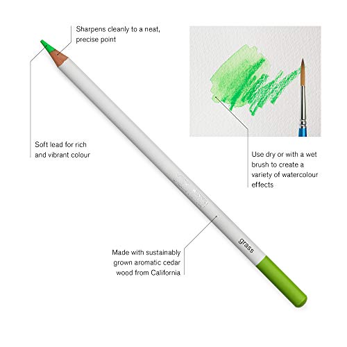 Winsor & Newton Studio Collection, Watercolor Pencils, Set of 24 | Highly pigmented, Wax-Based, Can be Used Wet/Dry, Add Water & Brush to Create Painterly Effects, Break-Resistant Points. - style: 24 Watercolor Pencils