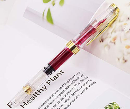 Lanxivi Yongsheng 3011 Demonstrator Clear Classical Fountain Pen Fine Nib Arrow Clip, Piston Filling System, Gold Trim, Set of 4 Pieces in transparent Color - color: 3011, F