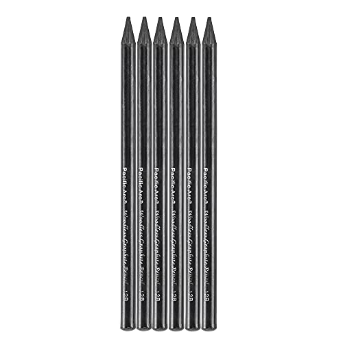 Pacific Arc Woodless Graphite Pencil 6 Pack Set, 12B, for Sketching, Drawing, Coloring and Art - color: 12B