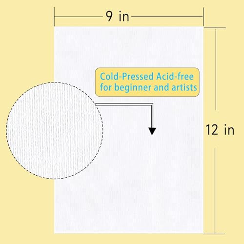 140lb/300gsm Professional Watercolor Paper Pad, 2 Pack (40 Sheets Total), Acid-Free Cold Press Textured Paper for Watercolor, Acrylic, Ink - 9x12 Inch