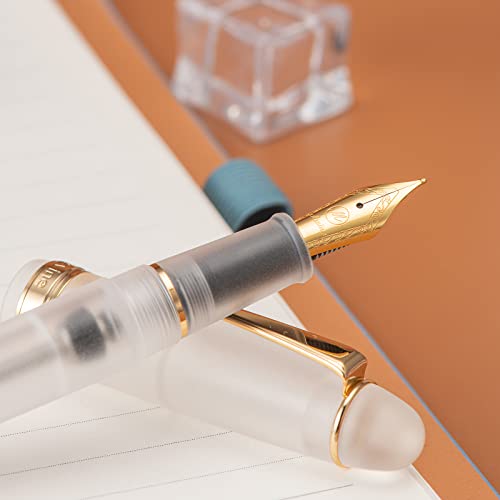 Asvine V126 Vacuum Filling Fountain Pen Medium Nib, Frosted Transparent Clear Acrylic, Large-Capacity with Gift Case - color: Frosted clear, style: Medium Nib